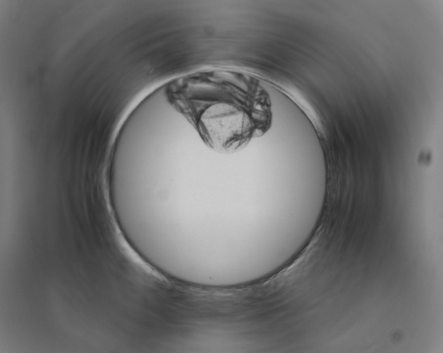 X0000094451100200712061155