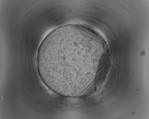 X0000094451103200712061155