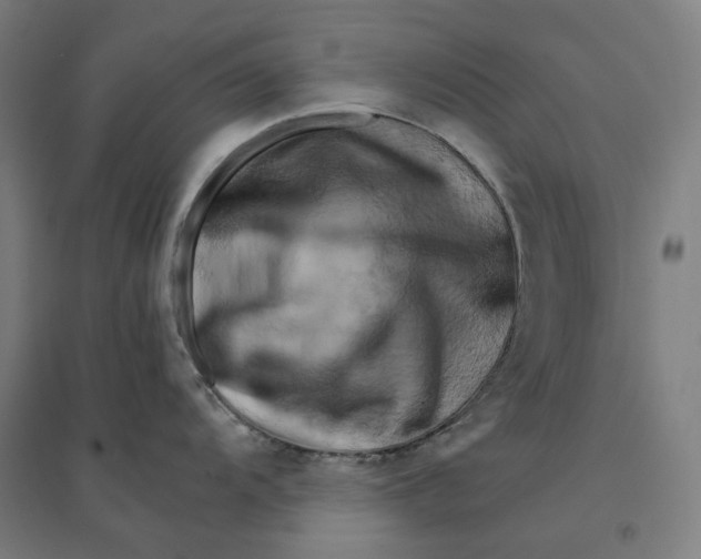 X0000094451104200712061155