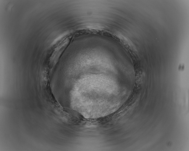 X0000094451110200712061154