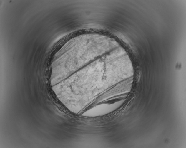 X0000094451112200712061154