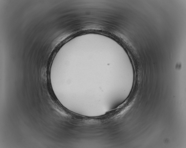 X0000094451113200712061154