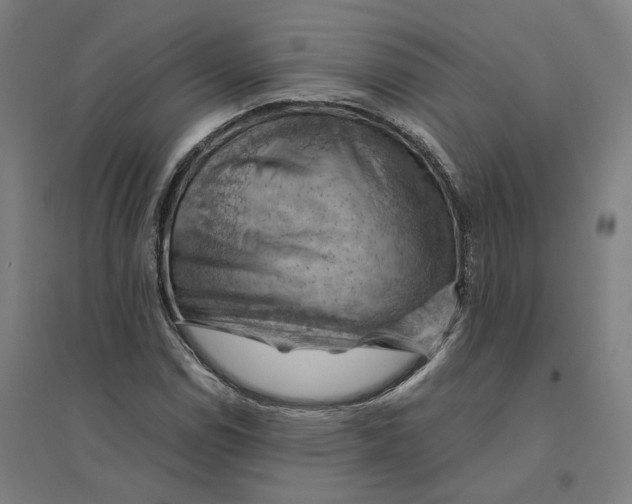 X0000094451114200712061154