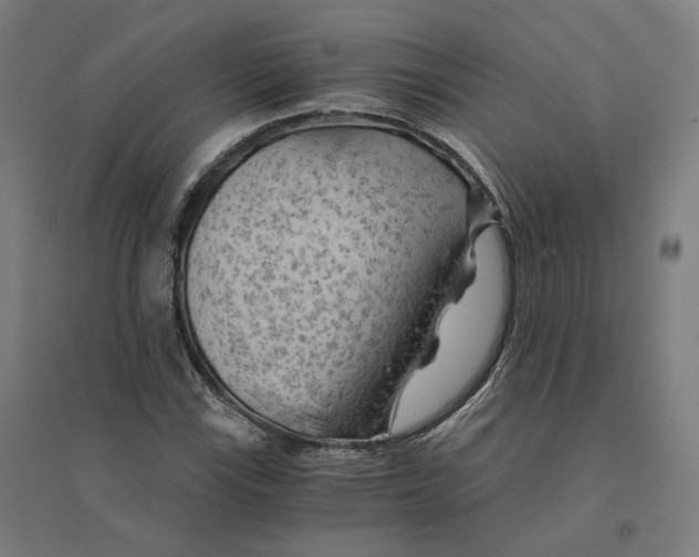 X0000094451115200712061154