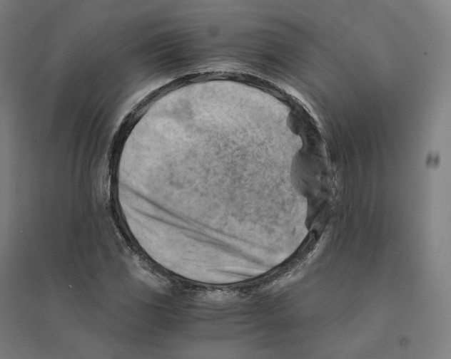 X0000094451117200712061154