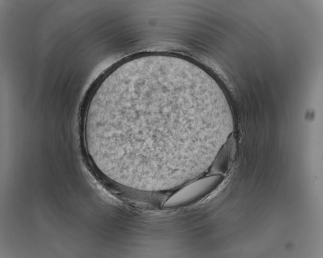 X0000094451122200712061154