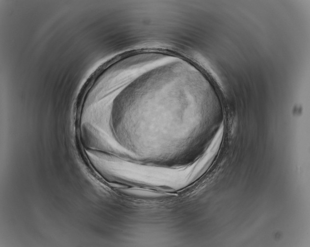 X0000094451124200712061154