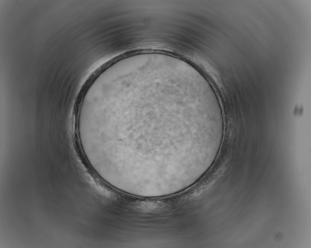 X0000094451125200712061154