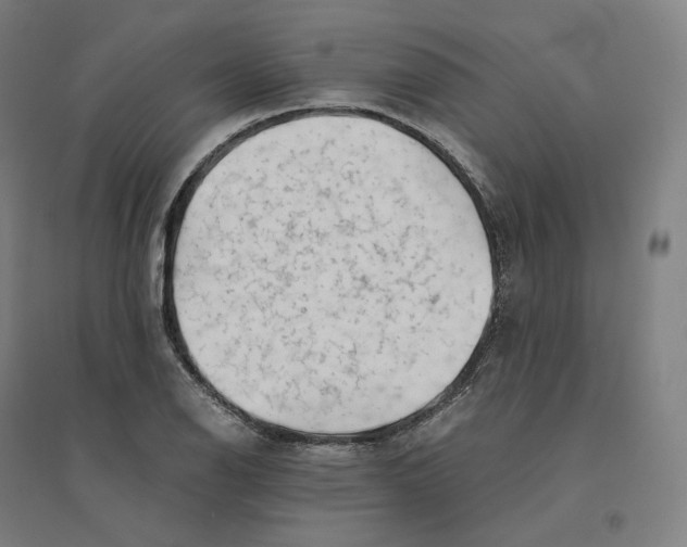 X0000094451126200712061154