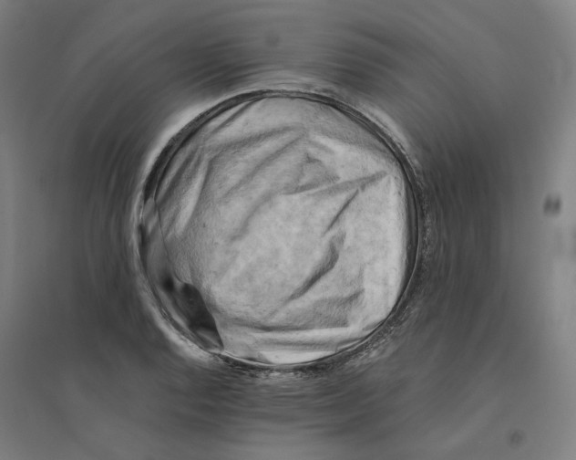 X0000094451128200712061155