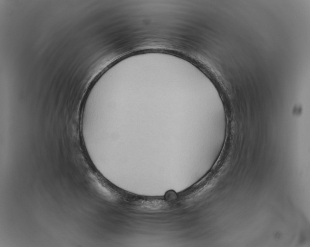 X0000094451129200712061155