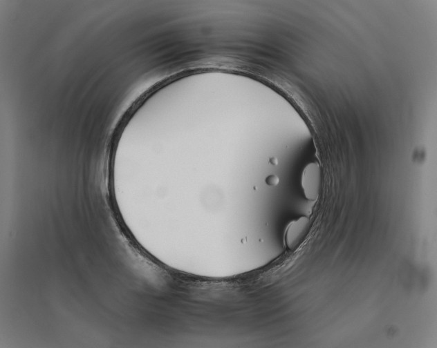 X0000094451131200712061155