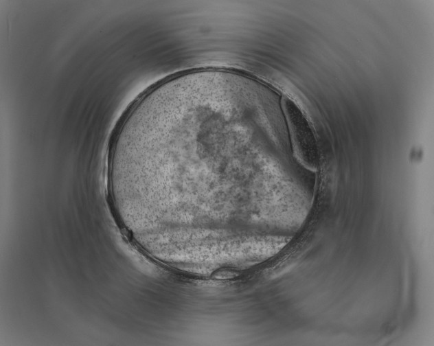 X0000094451132200712061155