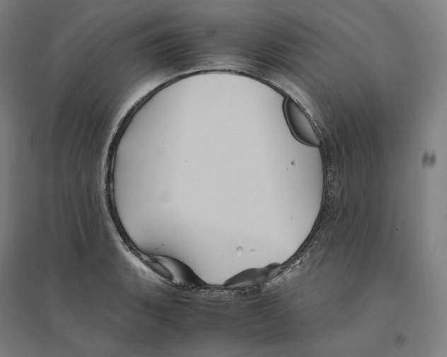 X0000094451135200712061155