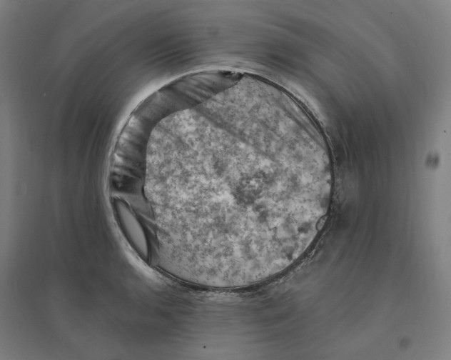 X0000094451136200712061155