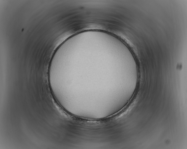 X0000094451137200712061155