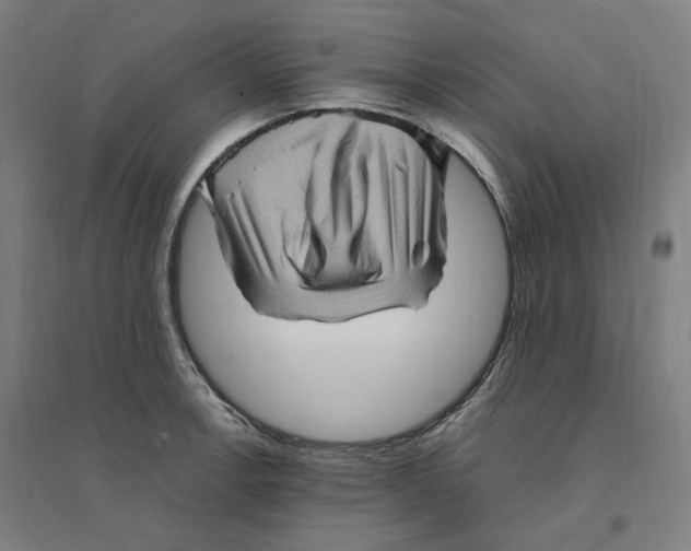 X0000094451138200712061155