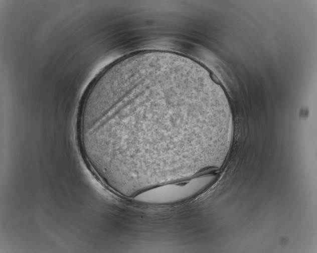 X0000094451139200712061155