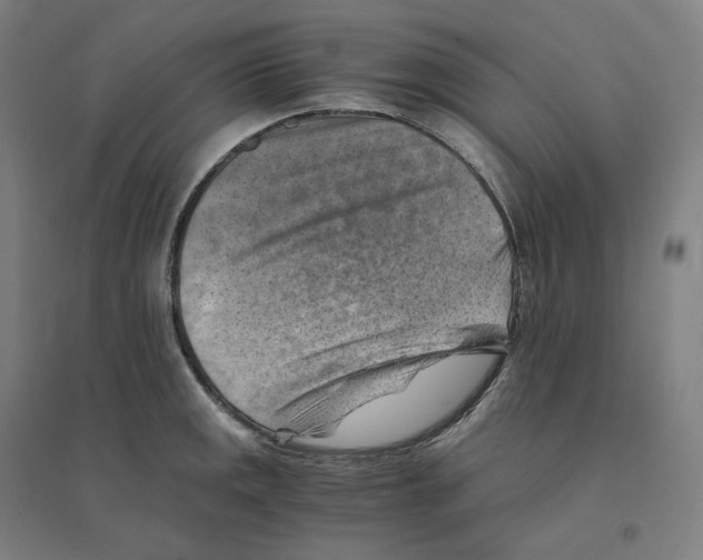 X0000094451141200712061155