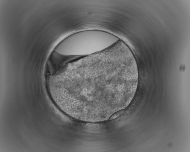 X0000094451142200712061155