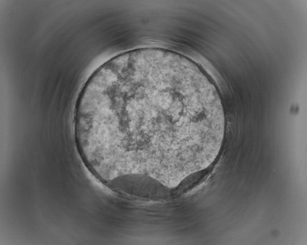 X0000094451143200712061155