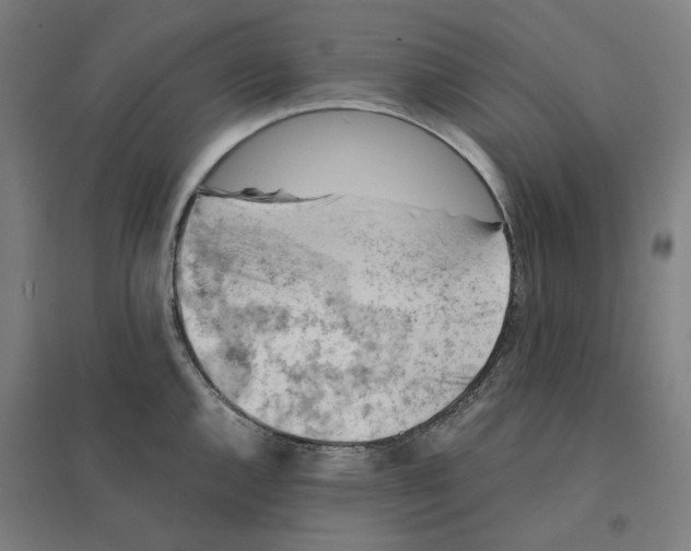 X0000094451144200712061155