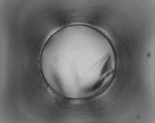 X0000094451145200712061155