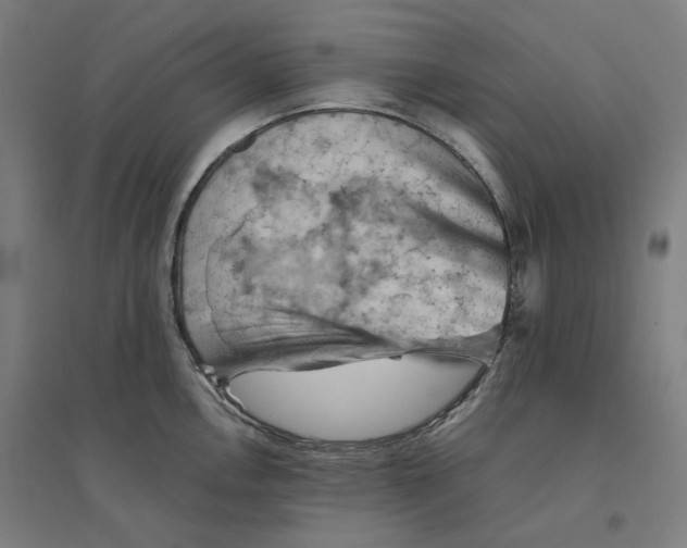 X0000094451146200712061155