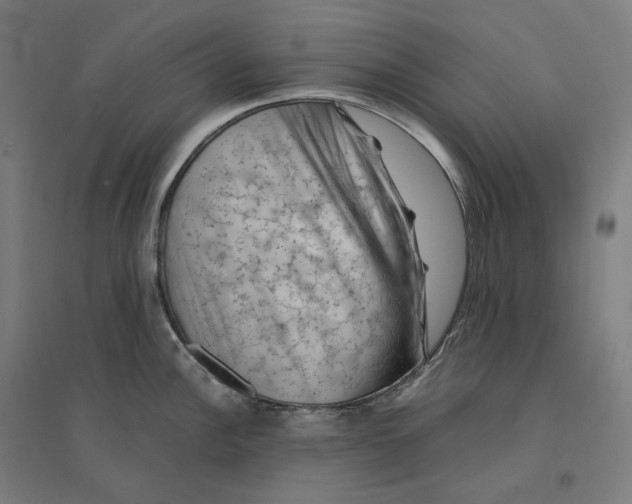 X0000094451148200712061155