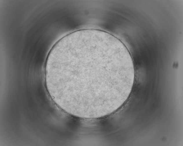 X0000094451150200712061155