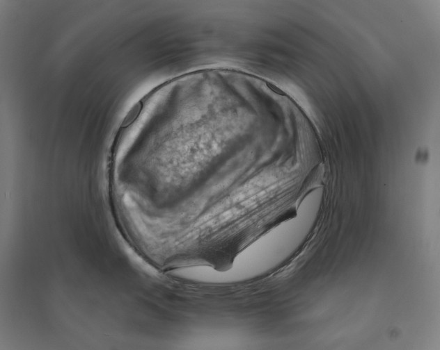 X0000094451151200712061155