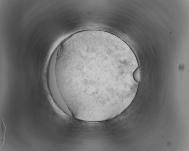 X0000094451152200712061155