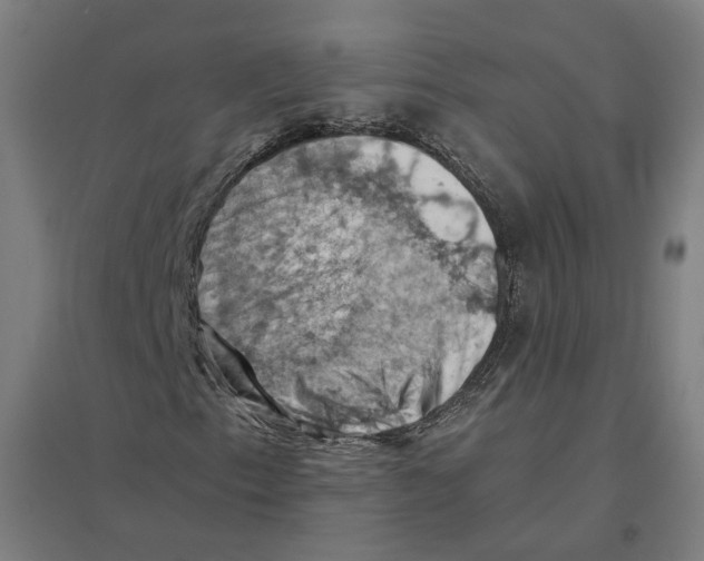 X0000094451153200712061154