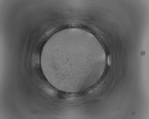 X0000094451155200712061154