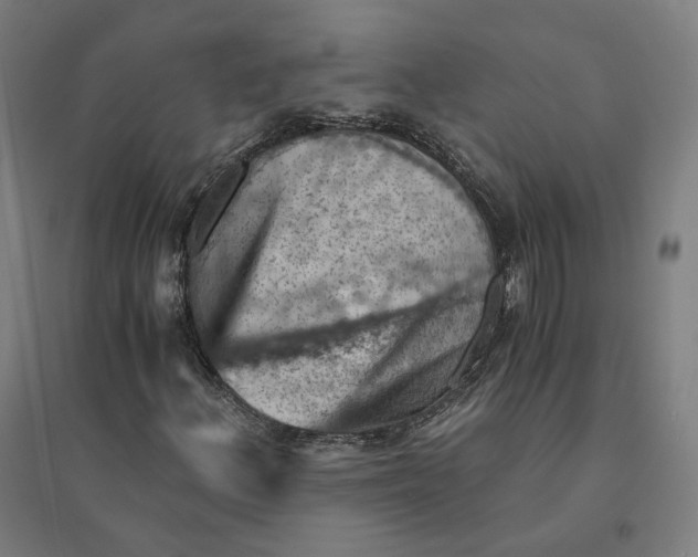 X0000094451156200712061154