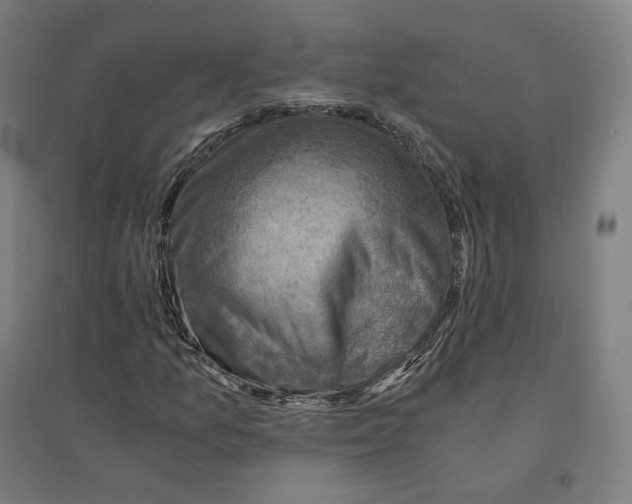 X0000094451157200712061154