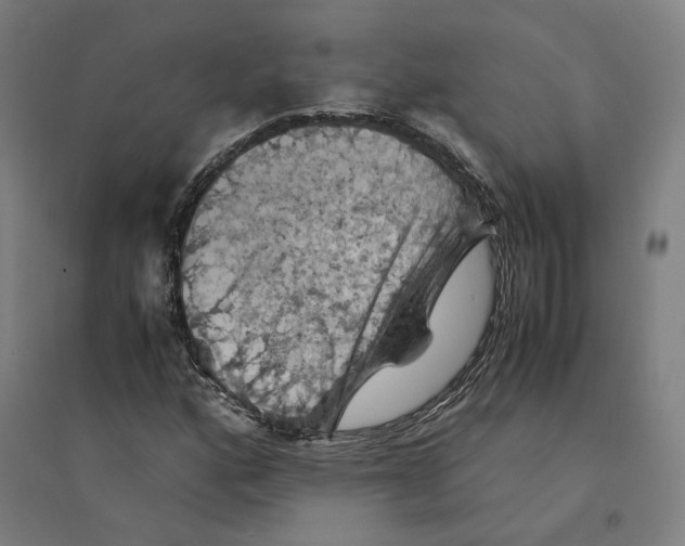 X0000094451160200712061154