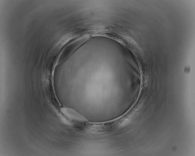 X0000094451161200712061154