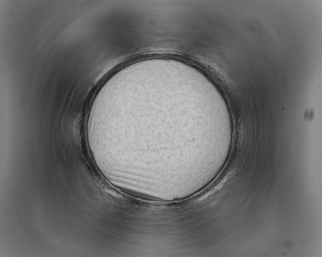 X0000094451162200712061154