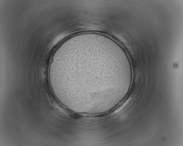 X0000094451163200712061154