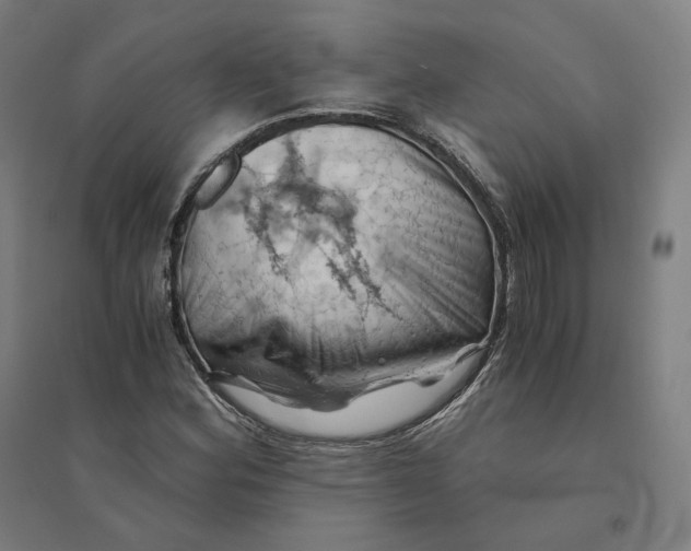 X0000094451164200712061154