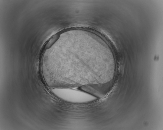 X0000094451165200712061154