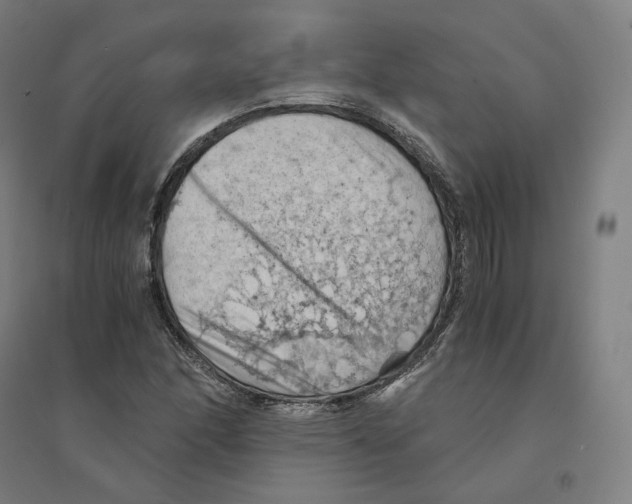 X0000094451166200712061154