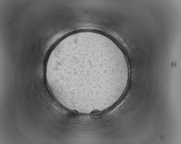 X0000094451167200712061154