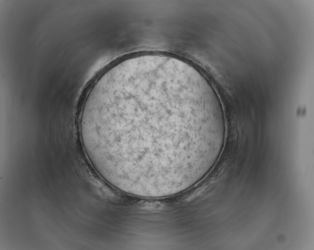 X0000094451168200712061154