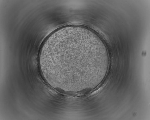 X0000094451170200712061154