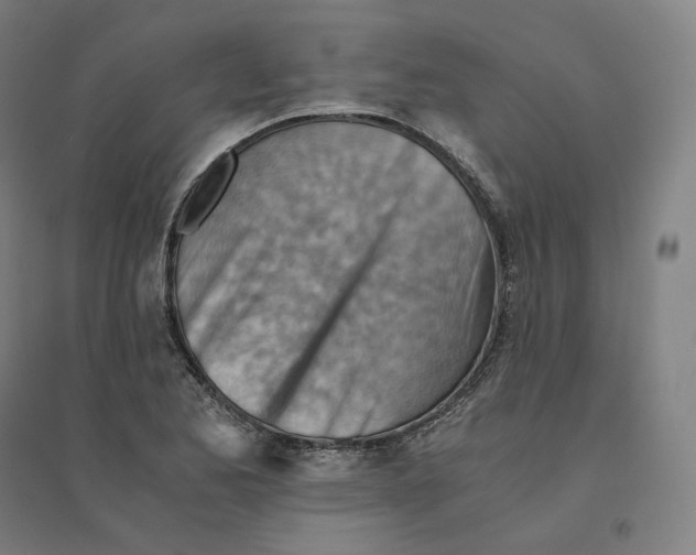 X0000094451173200712061154