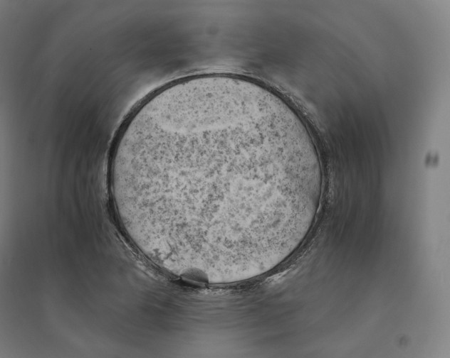 X0000094451174200712061154