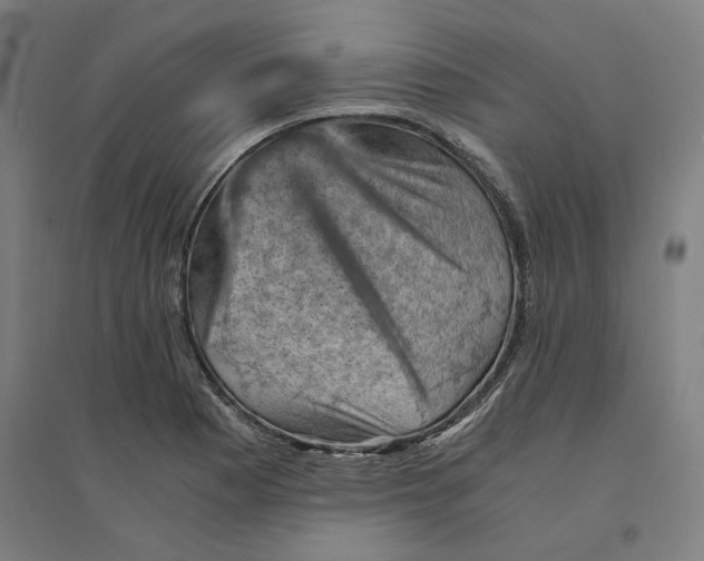 X0000094451177200712061154