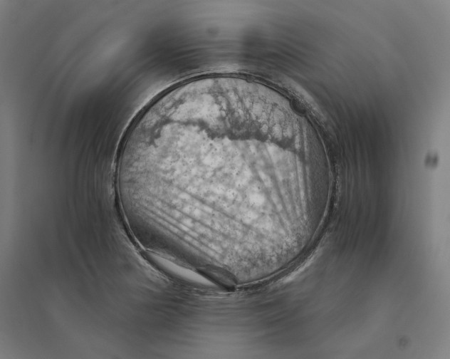 X0000094451178200712061154